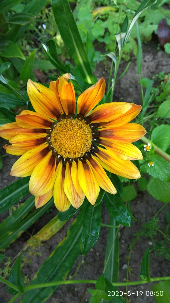 Марина Луценко | Гродно