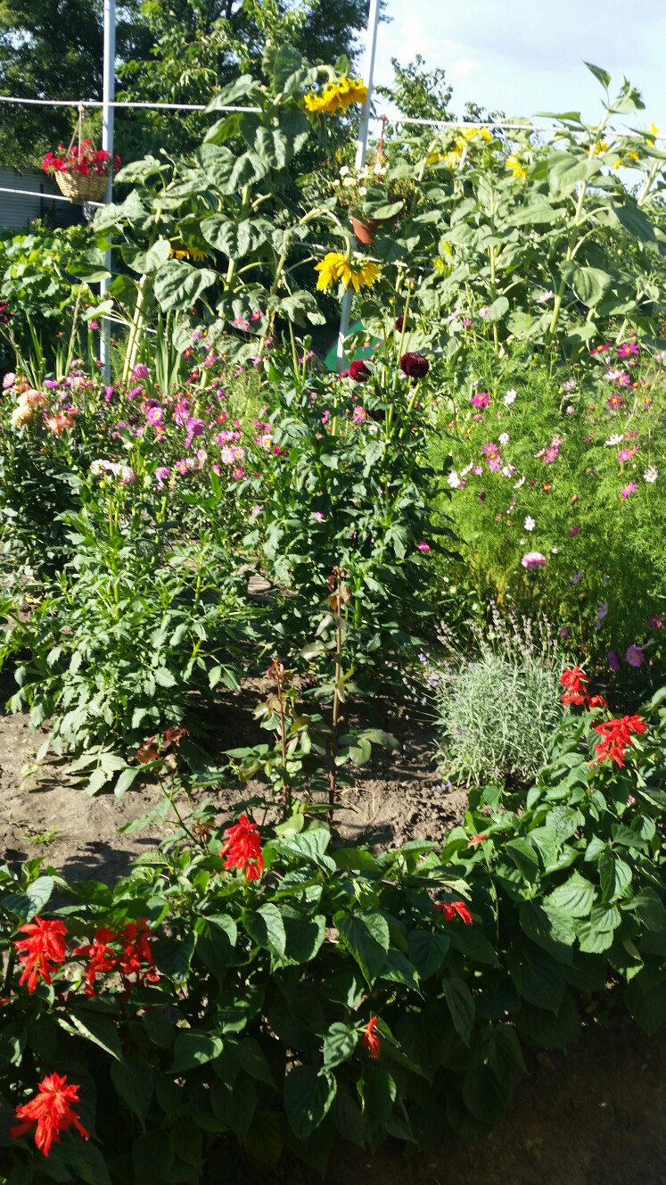 Евгения Леонова | Курск