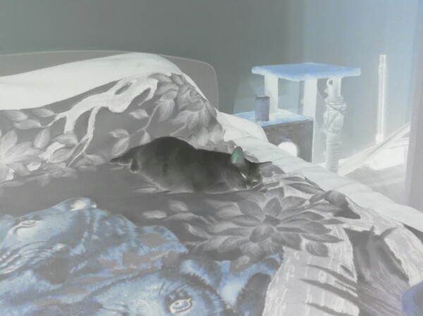 Михаил Зубарев | Киров