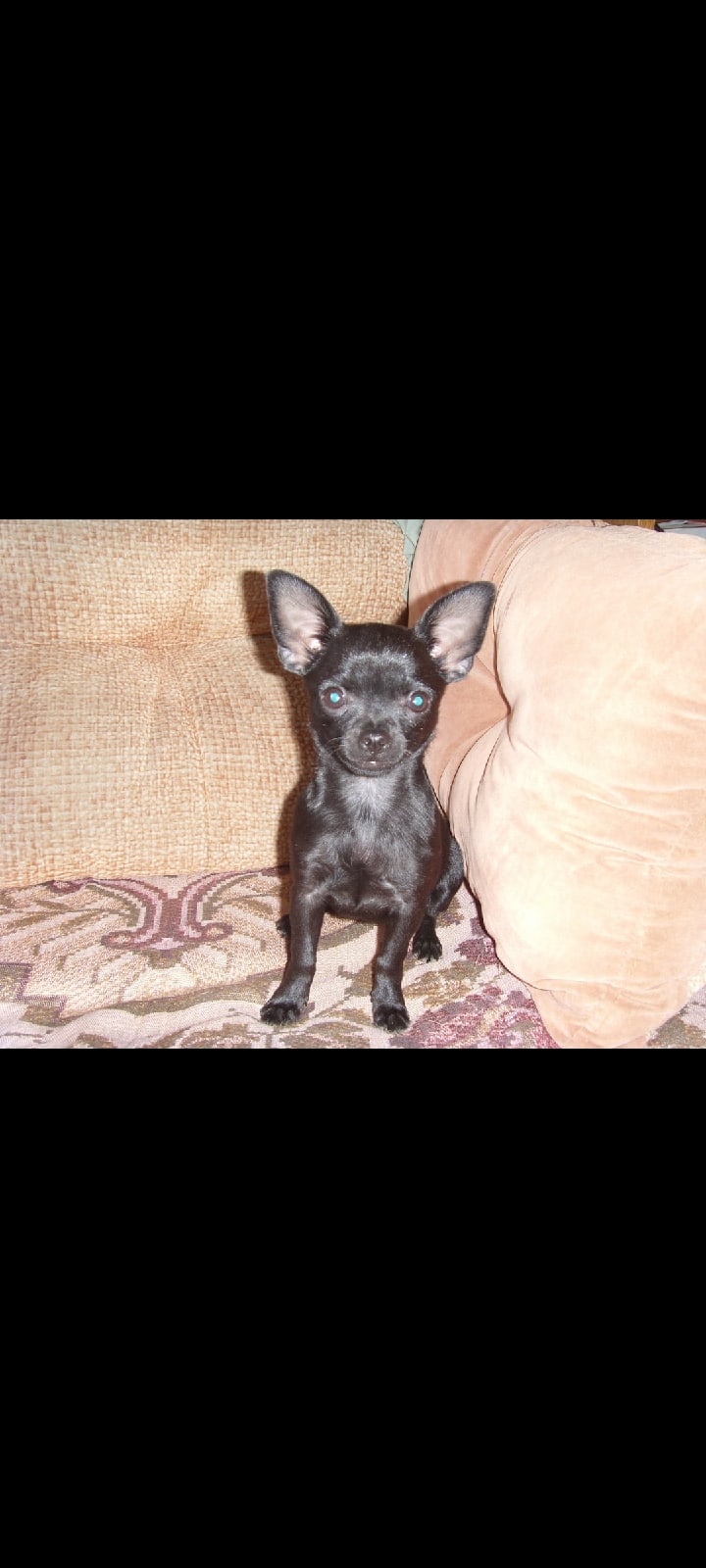 Максим Гончар | Санкт-Петербург