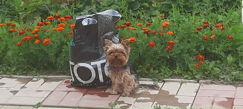 Галина Венцевич | Санкт-Петербург