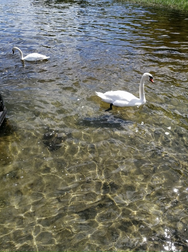 Серафима Васильева | Псков