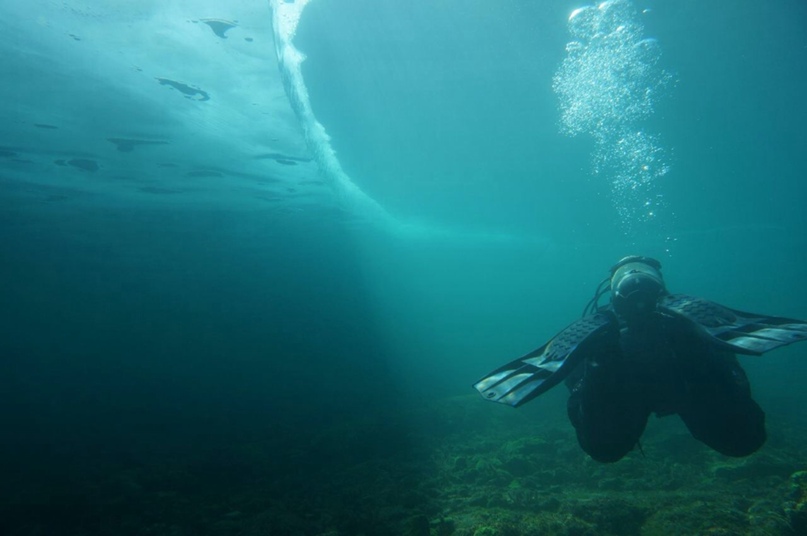 Дмитрий Роговой | Иркутск