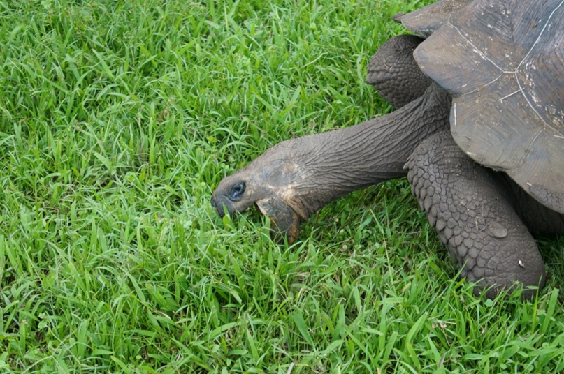 Екатерина Глазкова | Москва
