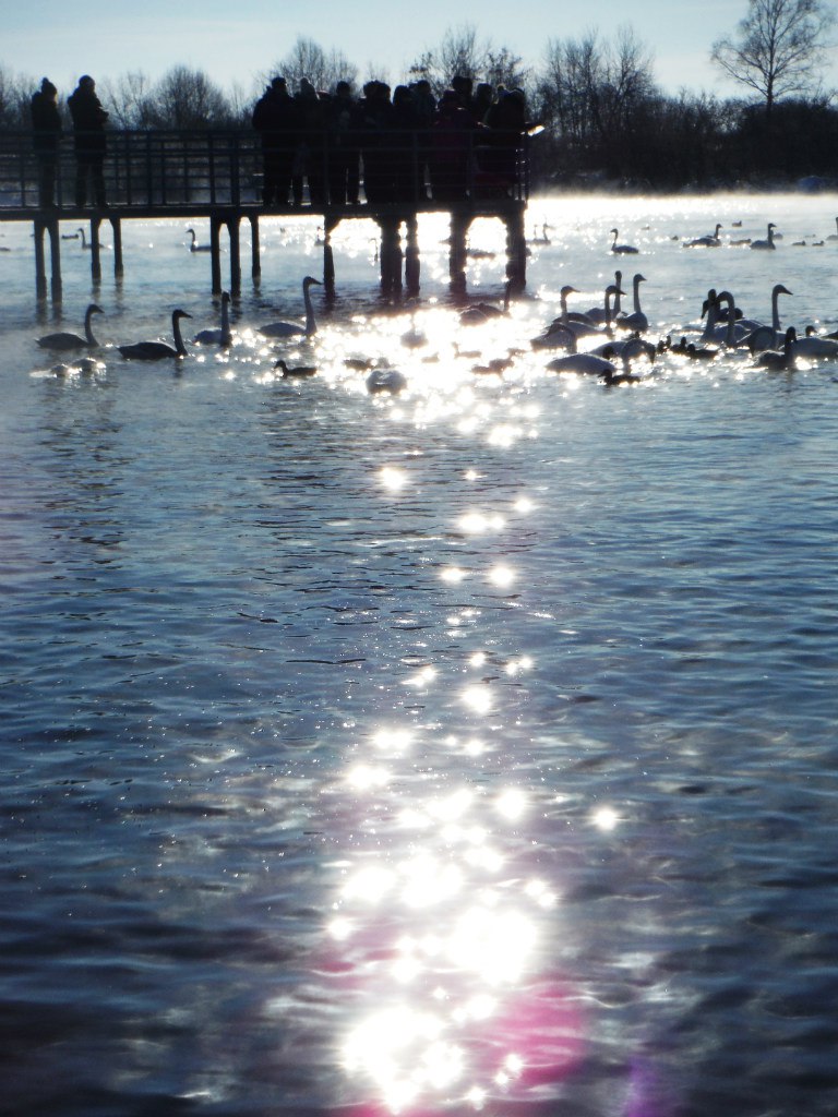 Юлия Дремова | Барнаул