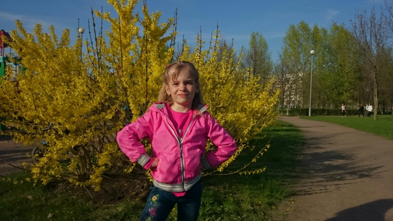 Дмитрий Складчиков | Санкт-Петербург