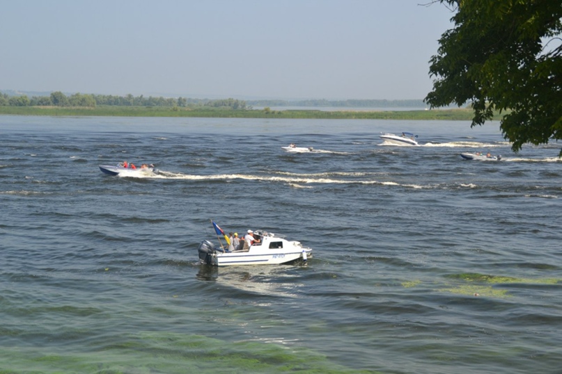 Вячеслав Петров | Петергоф