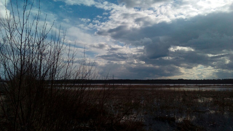 Александр Смоляк | Медвежьегорск