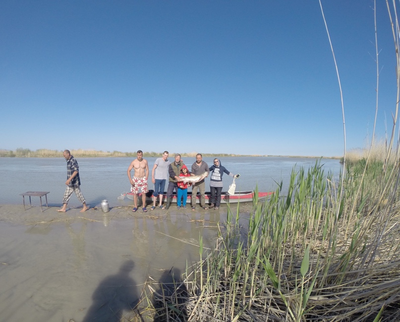 Евгений Ненашев | Алматы