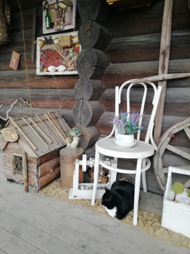 Наталья Журавлева |