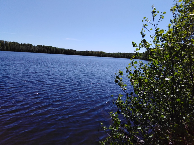 Светлана Павлова | Москва