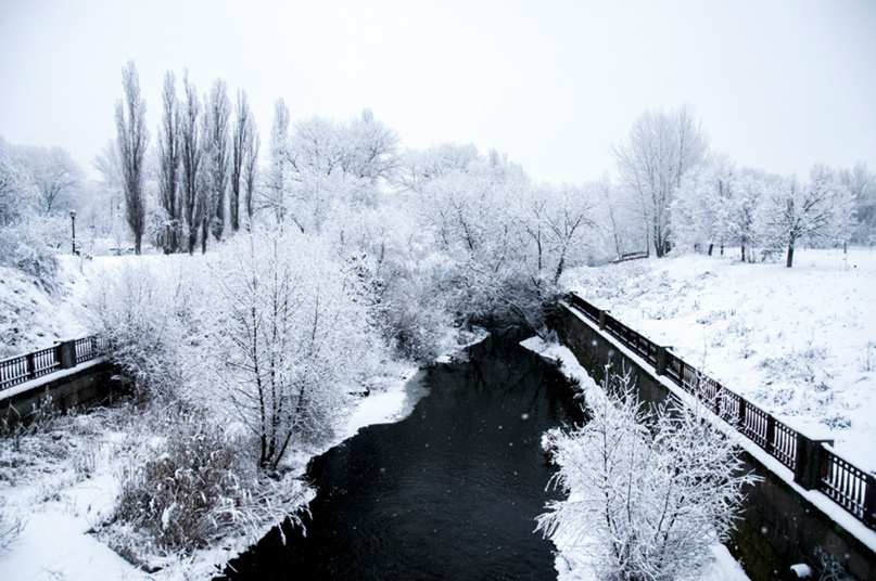Дмитрий Жук | Сумы