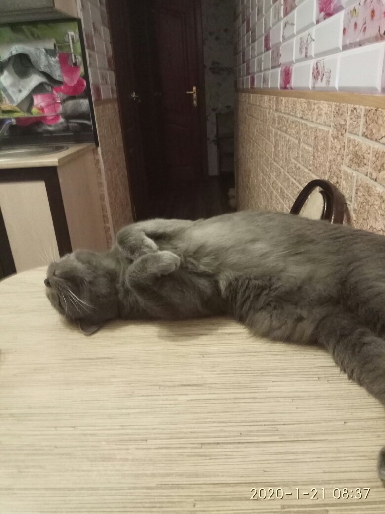 Ольга Битюцкая | Колпино