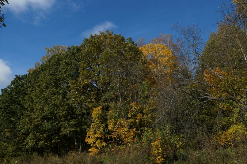 Артем Барыкин | Смоленск