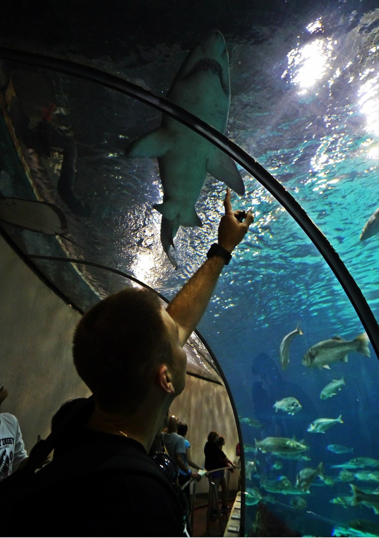 Александр Тихоненко | Севастополь