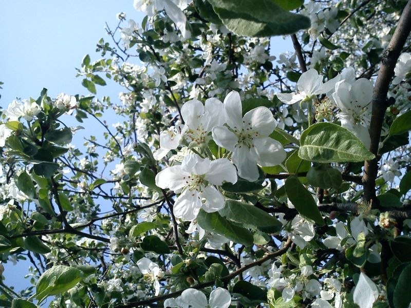 Татьяна Половинкина |