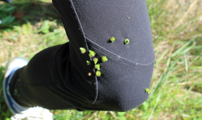 Екатерина Феоктистова |