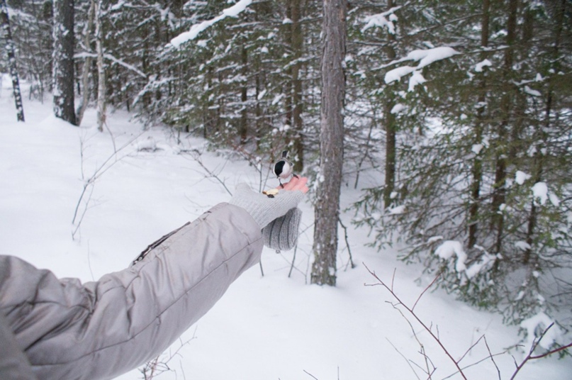 Сергей Юсупов | Краснодар