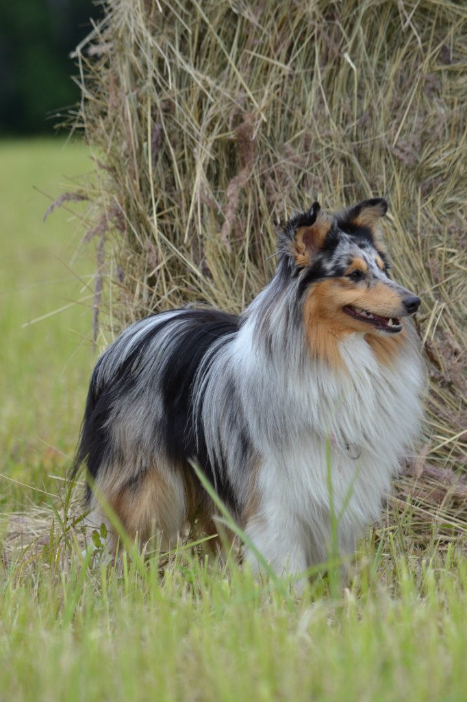 Марина Шикалова | Москва