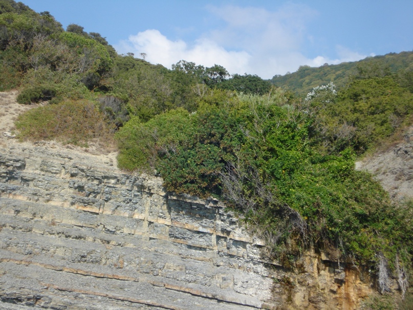 Светлана Яшина | Казань