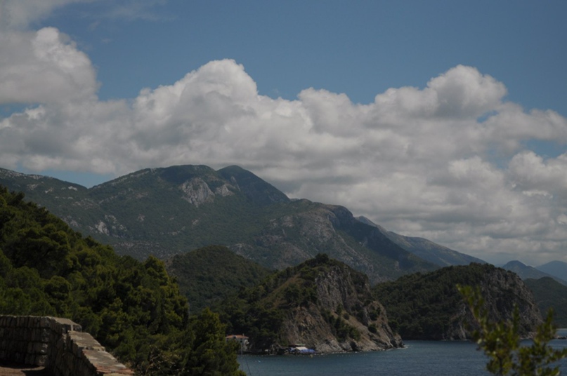 Алексей Медведовский | Сыктывкар