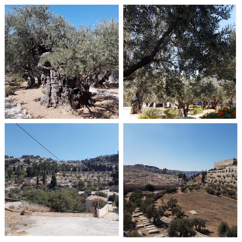 Елена Головкина | Самара