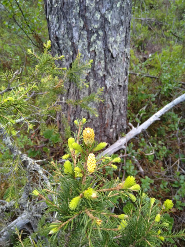Марина Кондратенко | Усинск