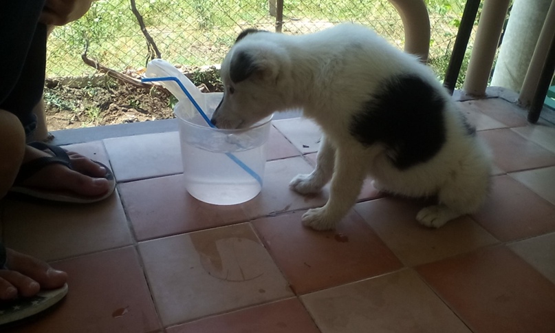 Анна Оганян | Камышин