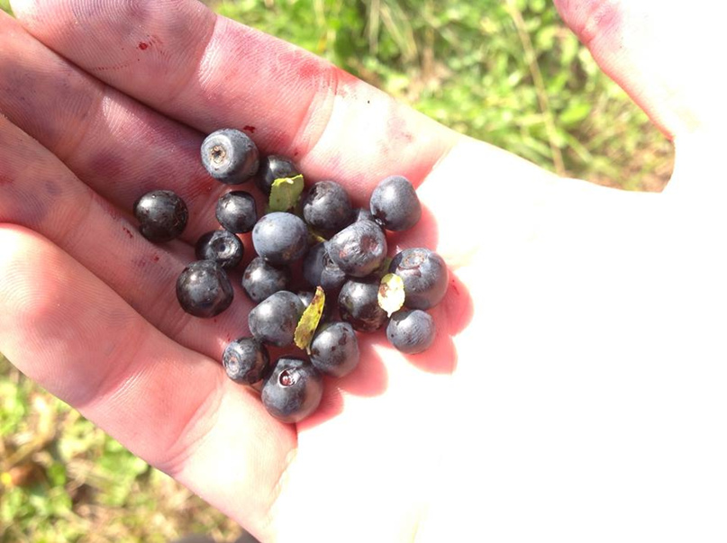 Константин Марчук | Львов