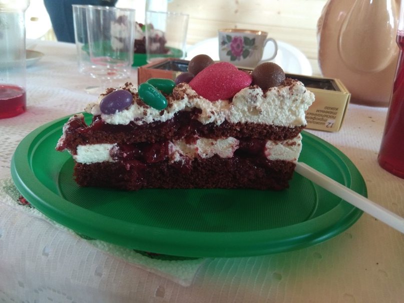 Наталья Сурина | Пересвет