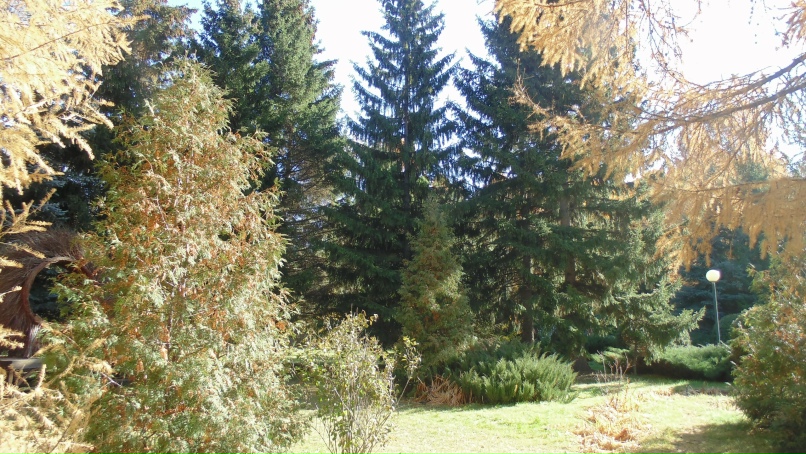 Инга Ефименко | Омск