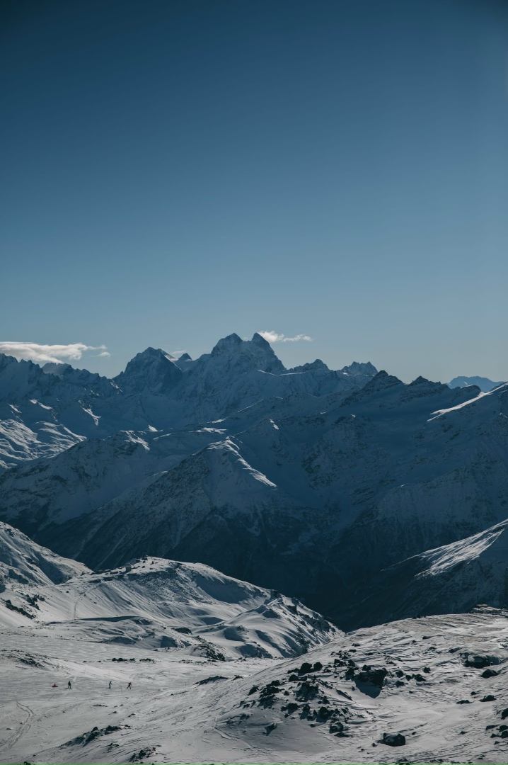Полина Богомолова | Ярославль