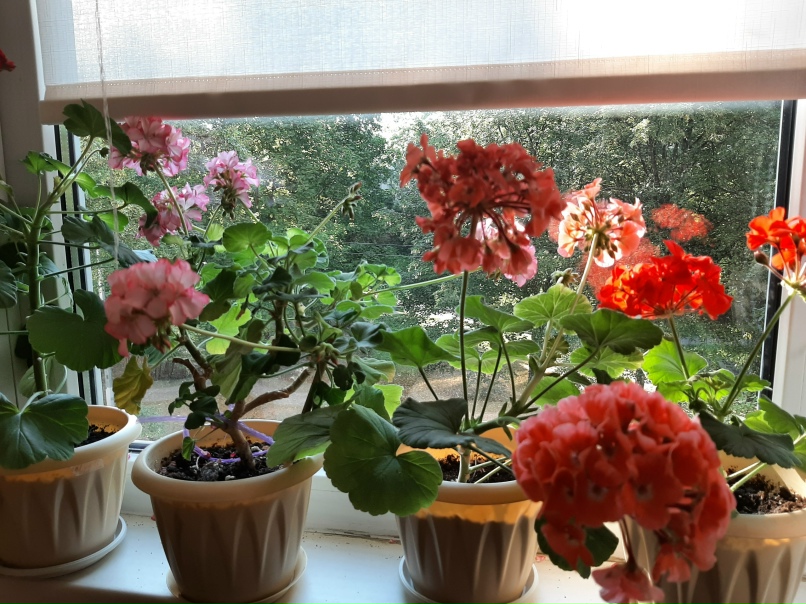 Наталия Рыжкова | Санкт-Петербург