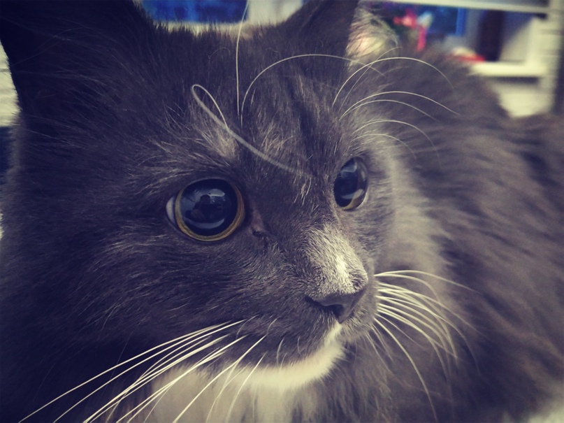 Денис Беляев | Москва