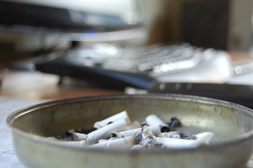 Макс Пауэр | Алматы