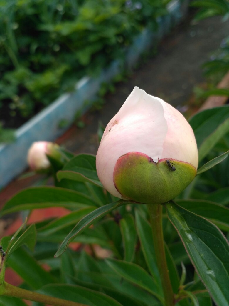 Оксана Плашенкова | Омск