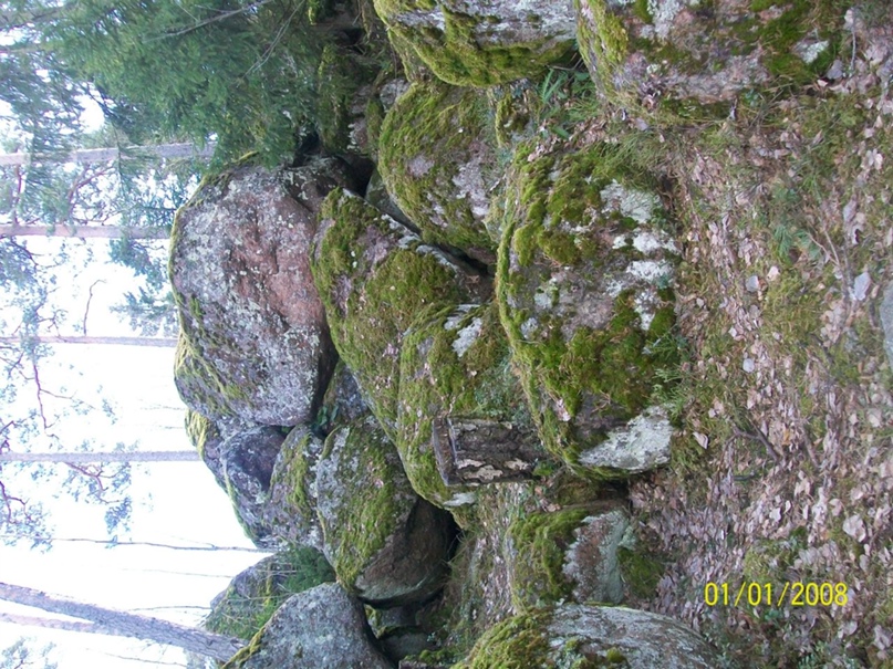 Ирина Данькова | Санкт-Петербург