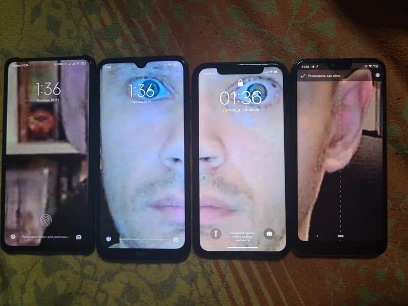 Александр Городничев |