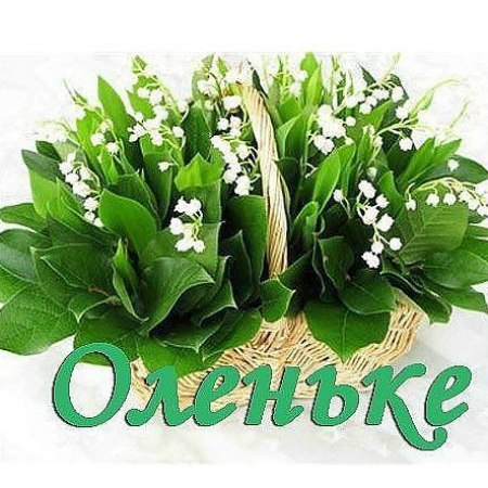 Алла Анисимова | Санкт-Петербург