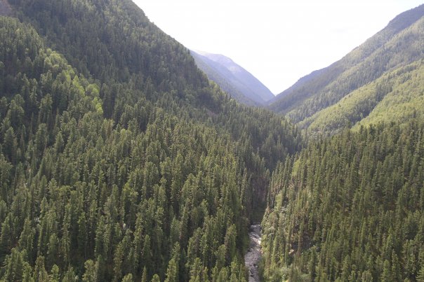 Ольга Алехина | Таштагол