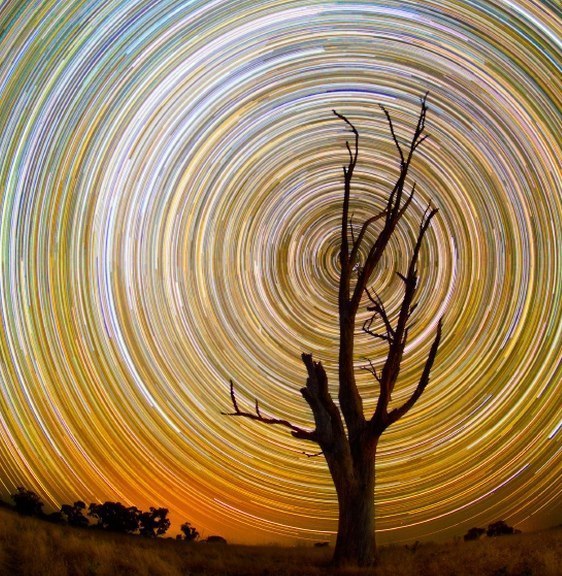 Павел Петрович | Тюмень