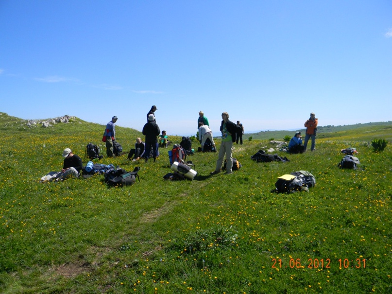 Анна Лимонова | Тамбов