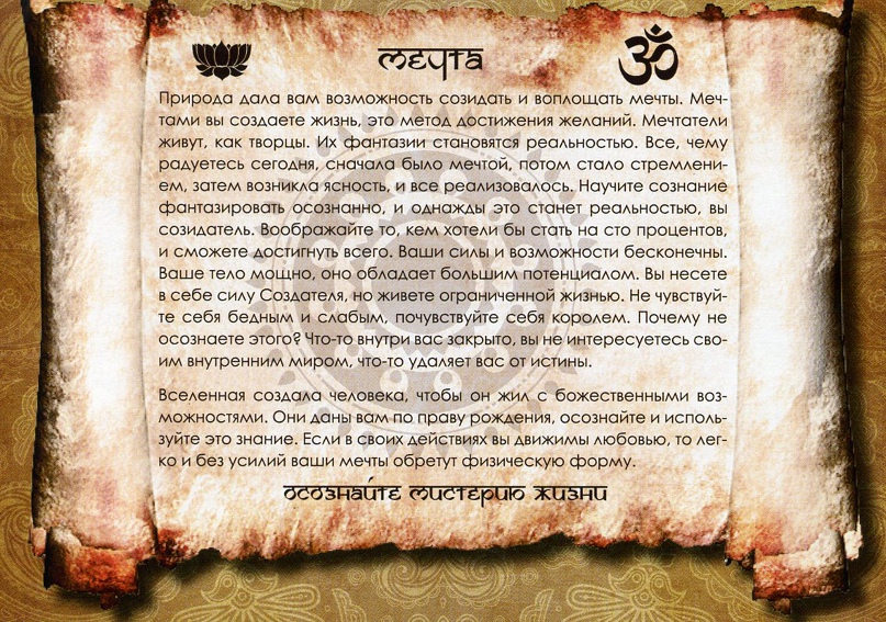 Андрей Стародубцев | Санкт-Петербург