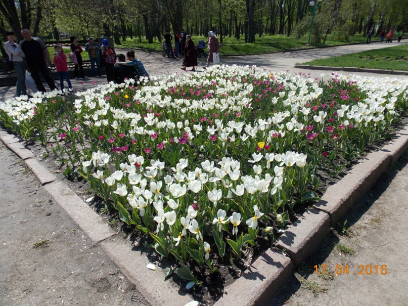 Анна Сиденко | Черкассы