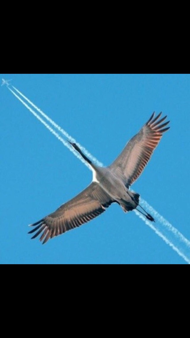 Елена Ахтырская Андреевна | Санкт-Петербург