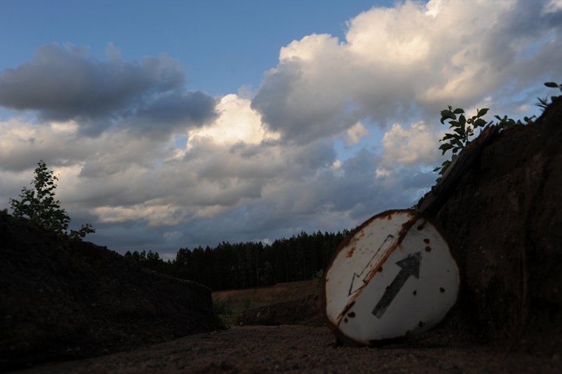 Мария Таранова | Санкт-Петербург