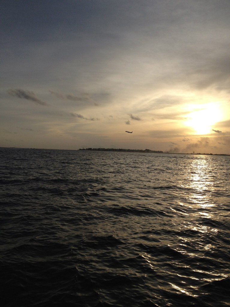 Олеся Василенко ☜☭☞ | Дмитров