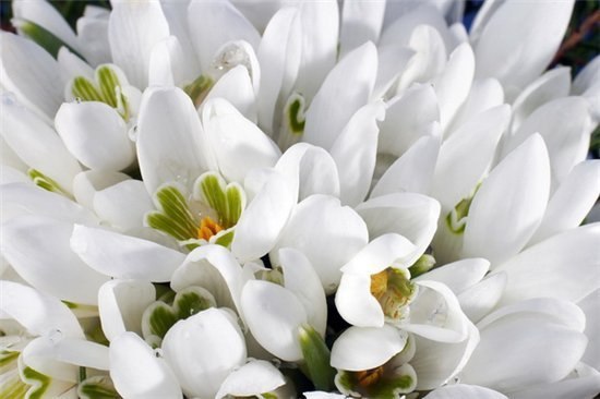 Алла Петренко | Апатиты