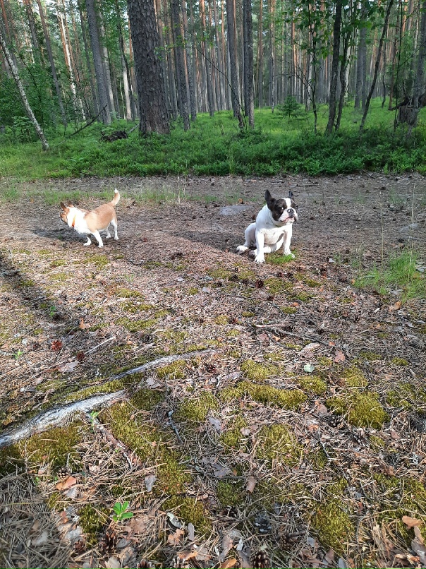 Анна Жихарева | Санкт-Петербург