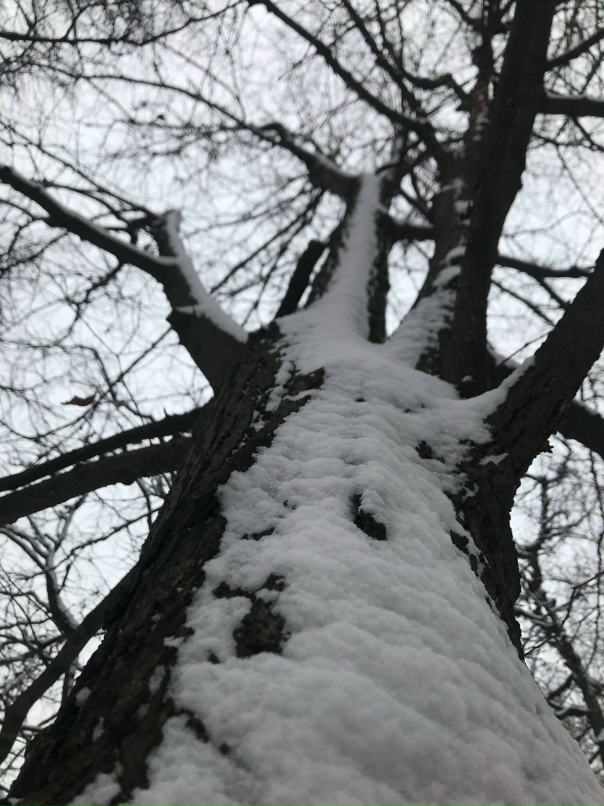 Ксения Буткина | Екатеринбург